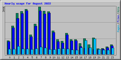 Hourly usage for August 2022