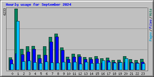 Hourly usage for September 2024